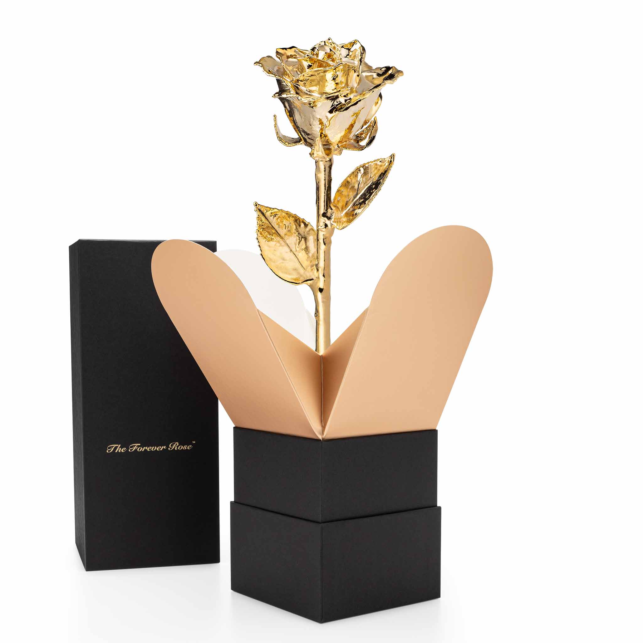 Forever Rose Bloom Box & Phantom Vase™ Combo (24K Gold)