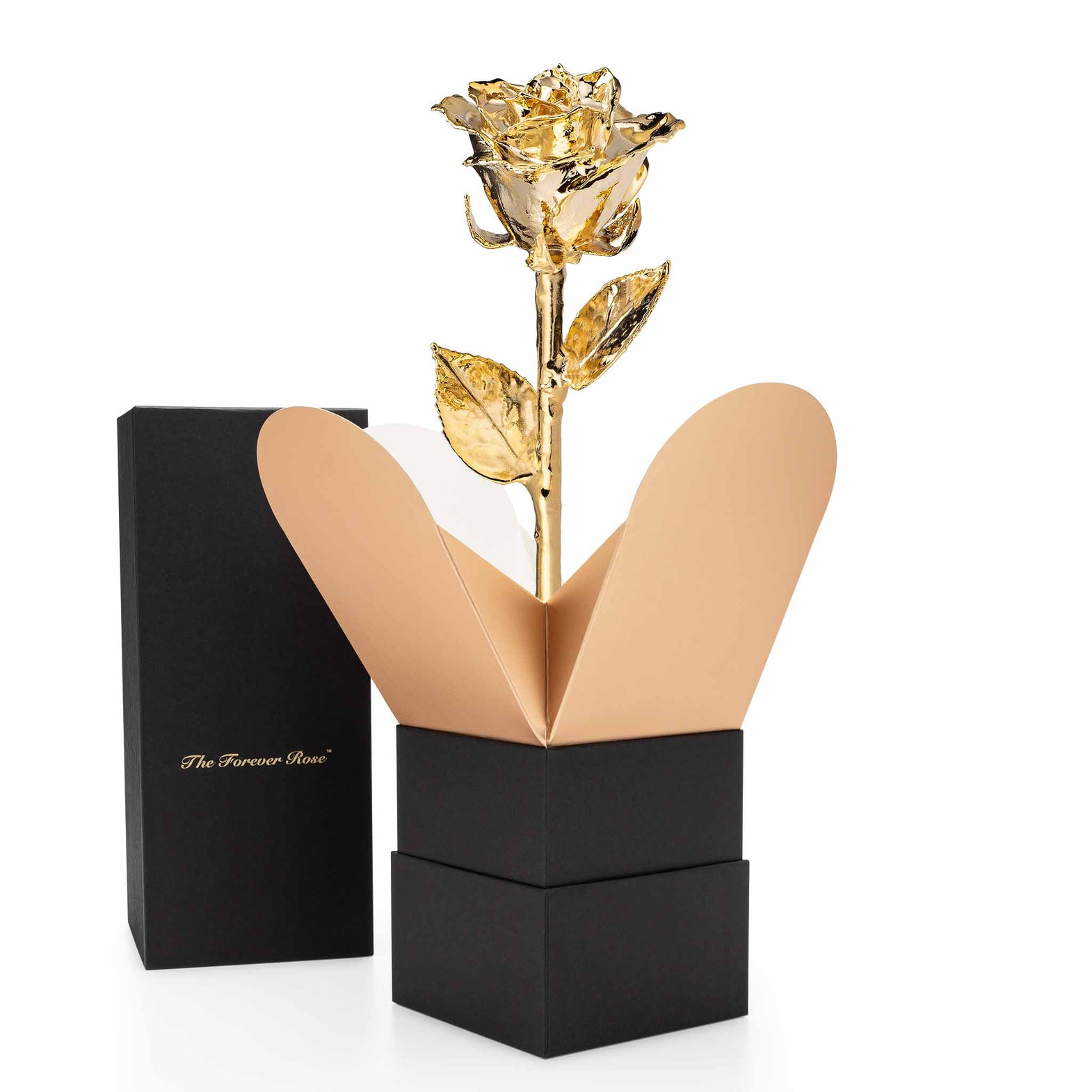 Forever Rose Bloom Box & Phantom Vase™ Combo (24K Gold)