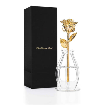 Bloom Box & Phantom Vase Upgrade (Must be ordered with a single stem standard length rose, not available for past purchases)