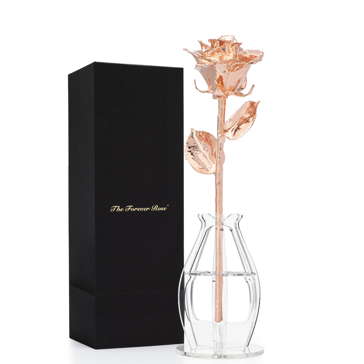 Forever Rose Bloom Box &amp; Phantom Vase™ Combo (Rose Gold)