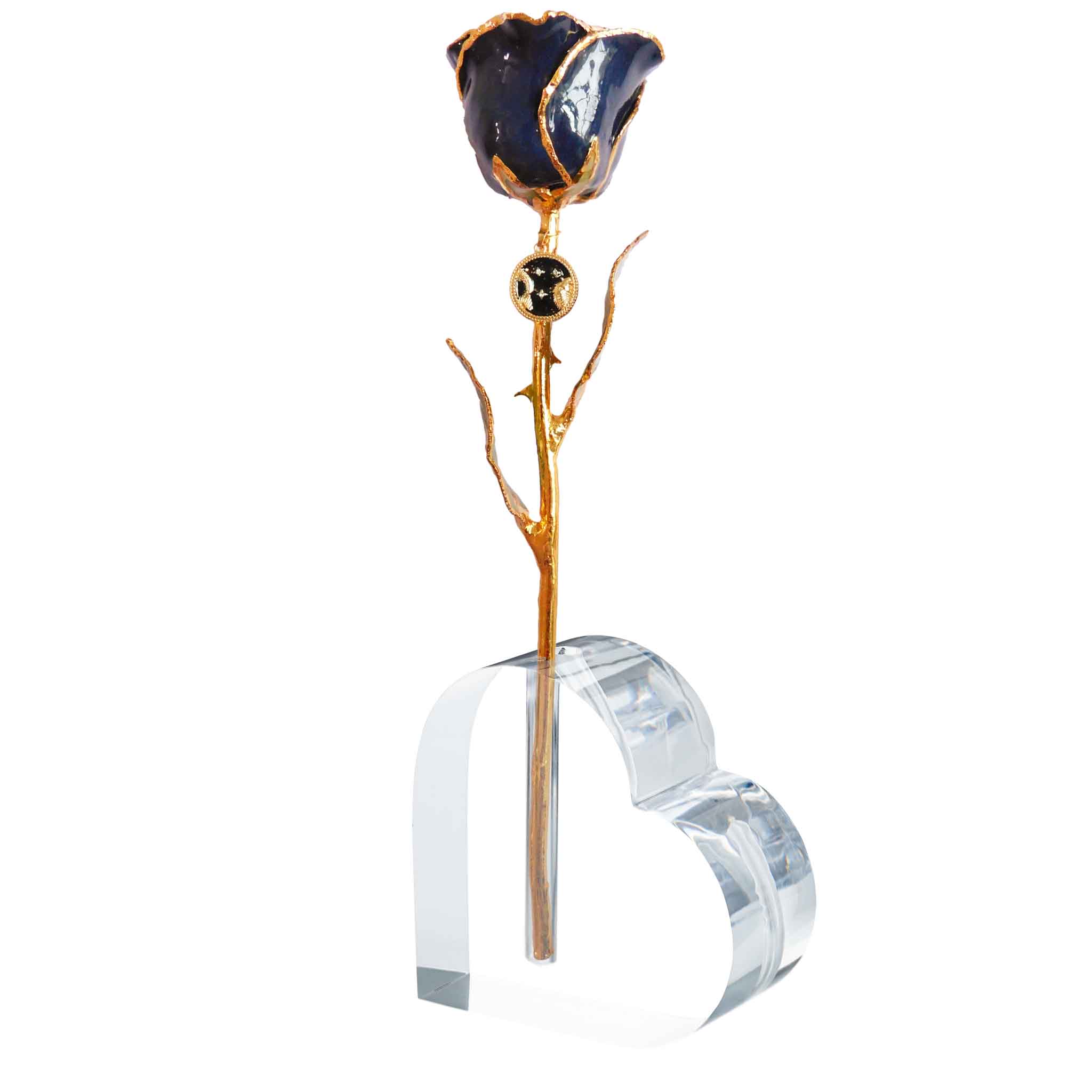 24K Gold Forever Rose - Zodiac with Pendant - The Forever Rose