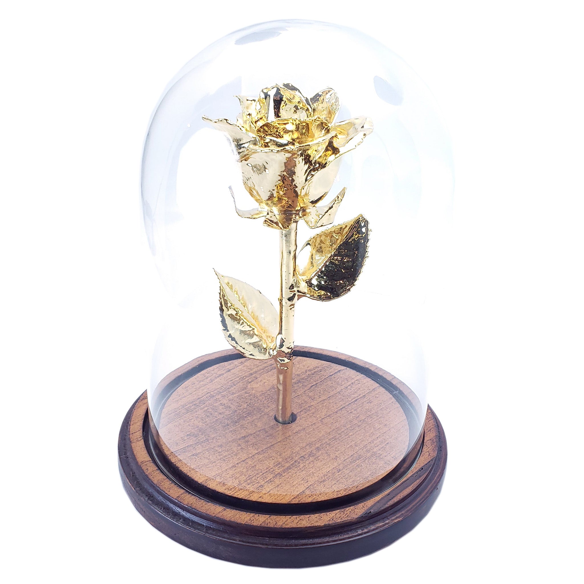 Custom Enchanted Rose w/ 24K Gold Dipped Rose