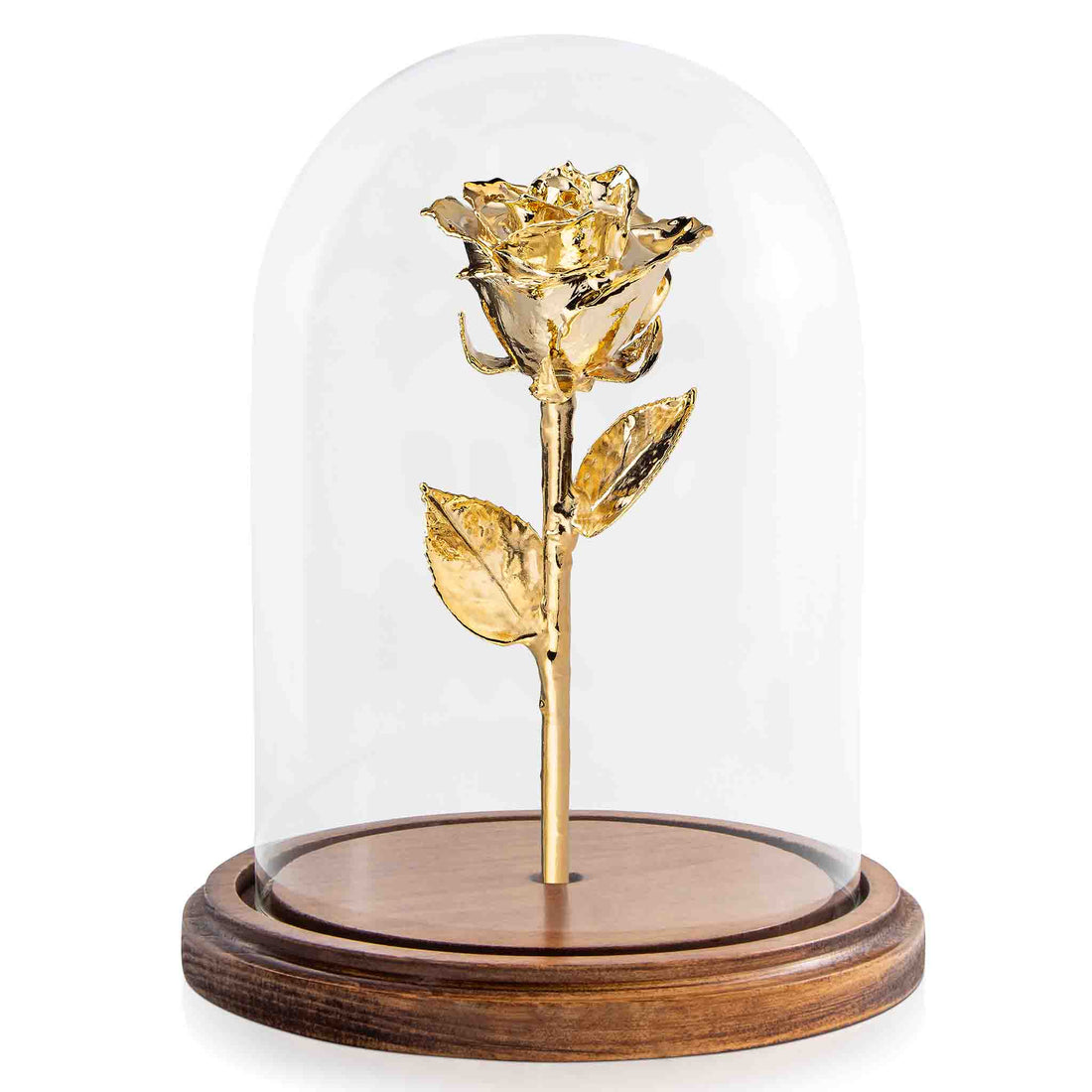 Custom Enchanted Rose w/ 24K Gold Dipped Rose