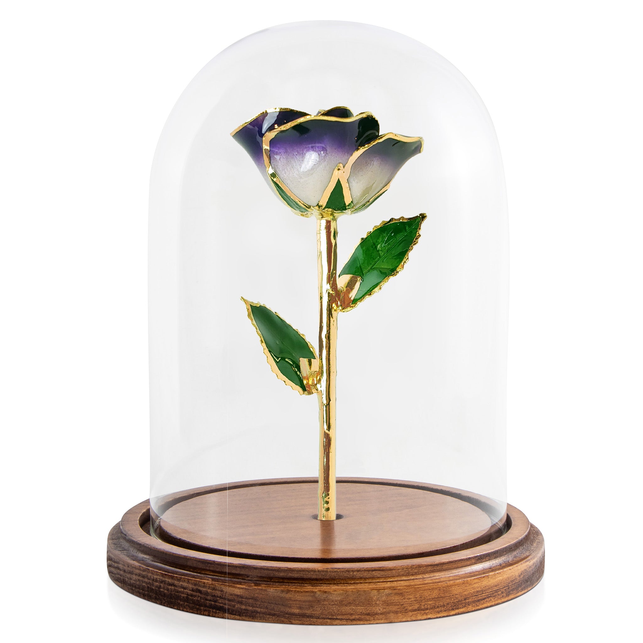 Custom Enchanted Rose - 24K Gold Forever Rose - Eternal Bliss (OPEN BLOOM)