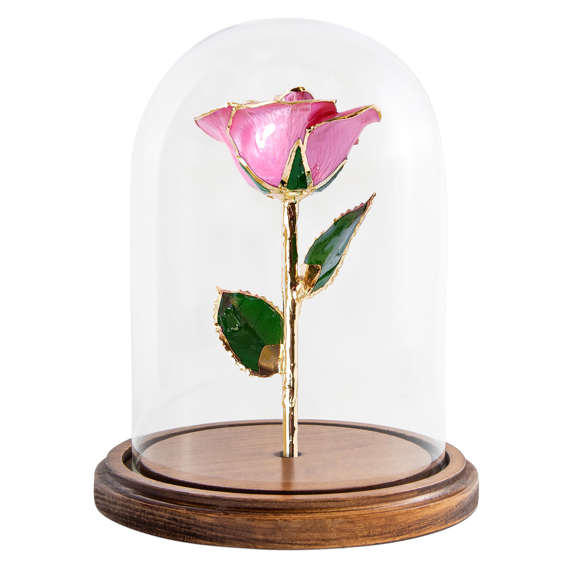 Custom Enchanted Rose - 24K Gold Forever Rose - Pink (OPEN BLOOM)
