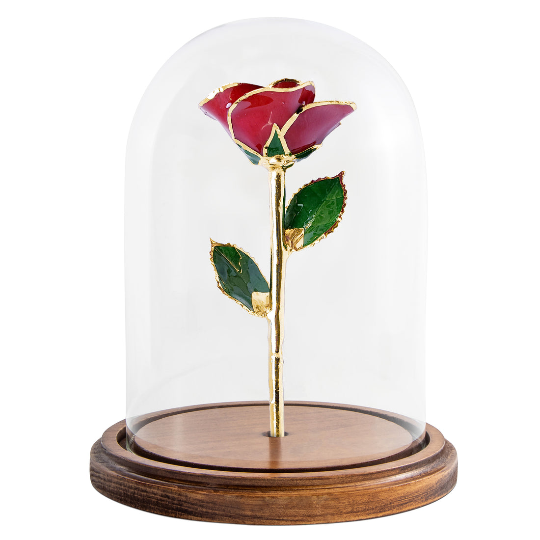 Custom Enchanted Rose - 24K Gold Forever Rose - Red (OPEN BLOOM)