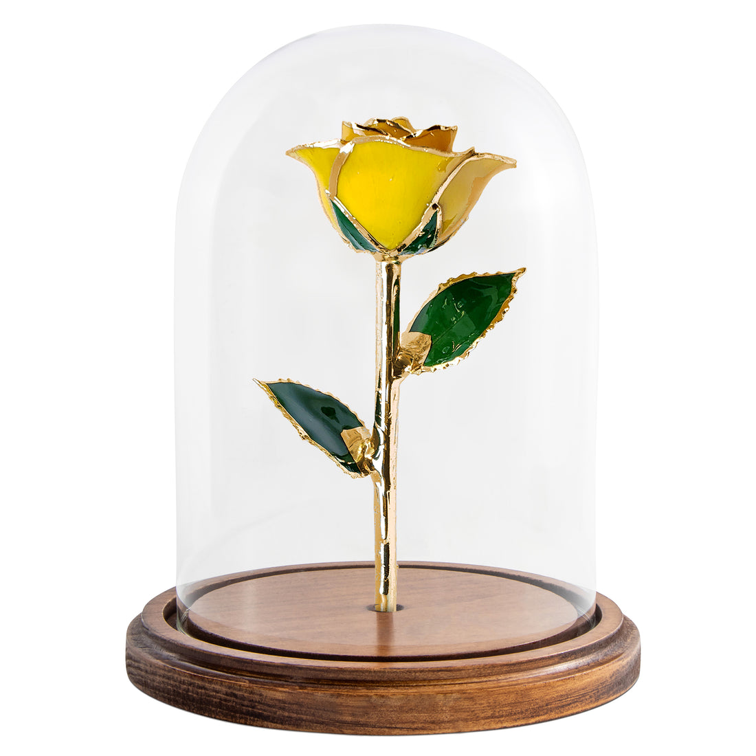 Custom Enchanted Rose - 24K Gold Forever Rose - Yellow (OPEN BLOOM)