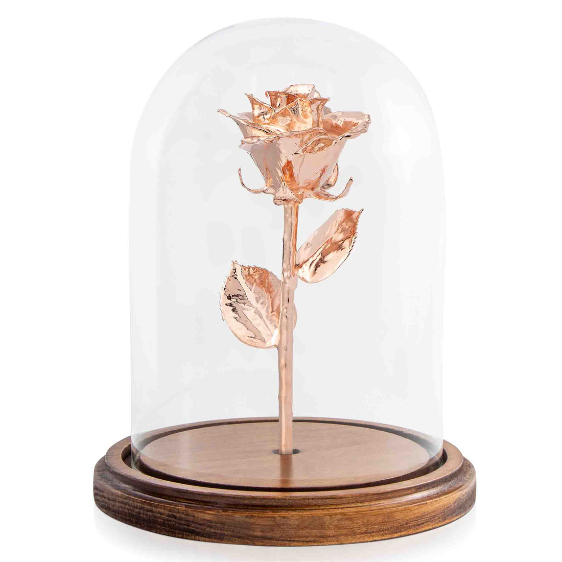 Custom Enchanted Rose w/ Rose Gold Dipped Rose