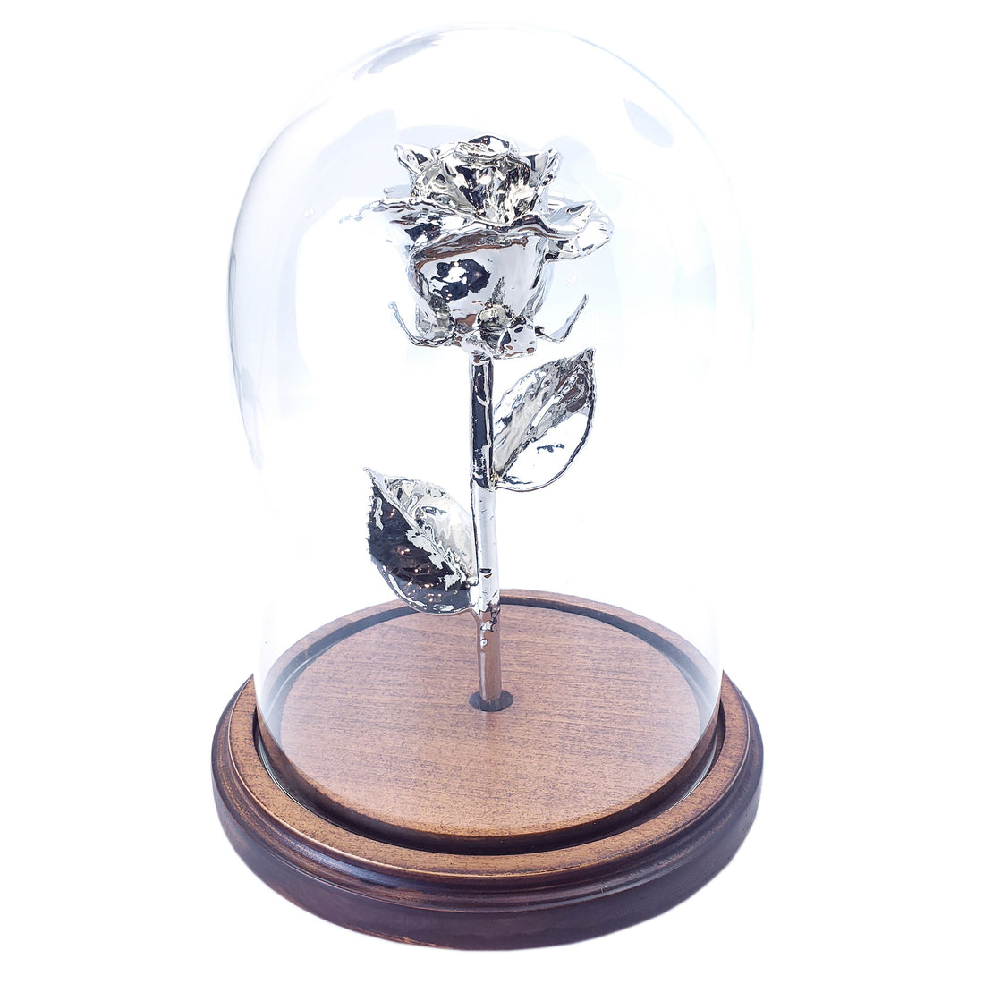 Custom Enchanted Rose w/ Silver Dipped Rose