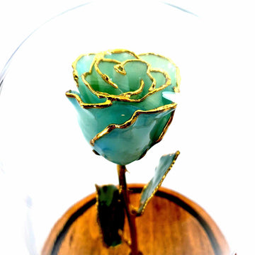 Custom Enchanted Rose w/ 24K Gold Trim Roses