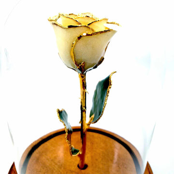 Custom Enchanted Rose w/ 24K Gold Trim Roses