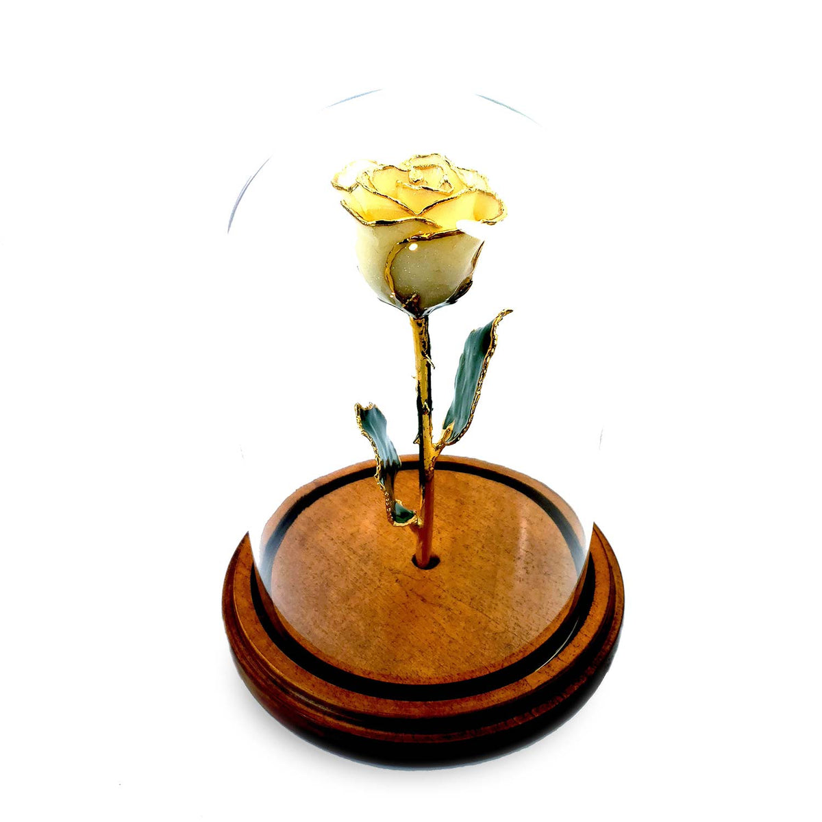 Custom Enchanted Rose w/ 24K Gold Trim Roses