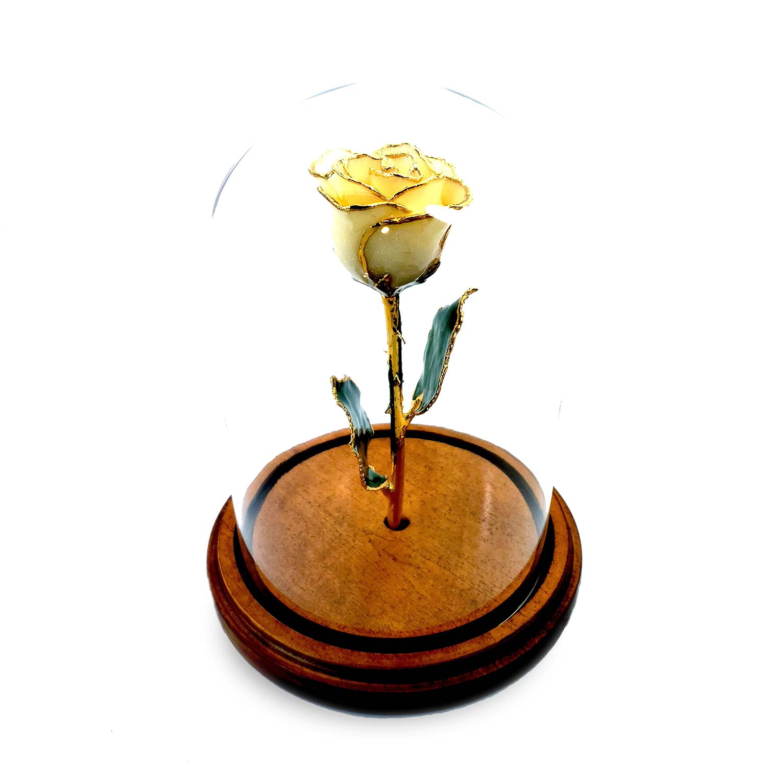 Custom Enchanted Roses - The Forever Rose