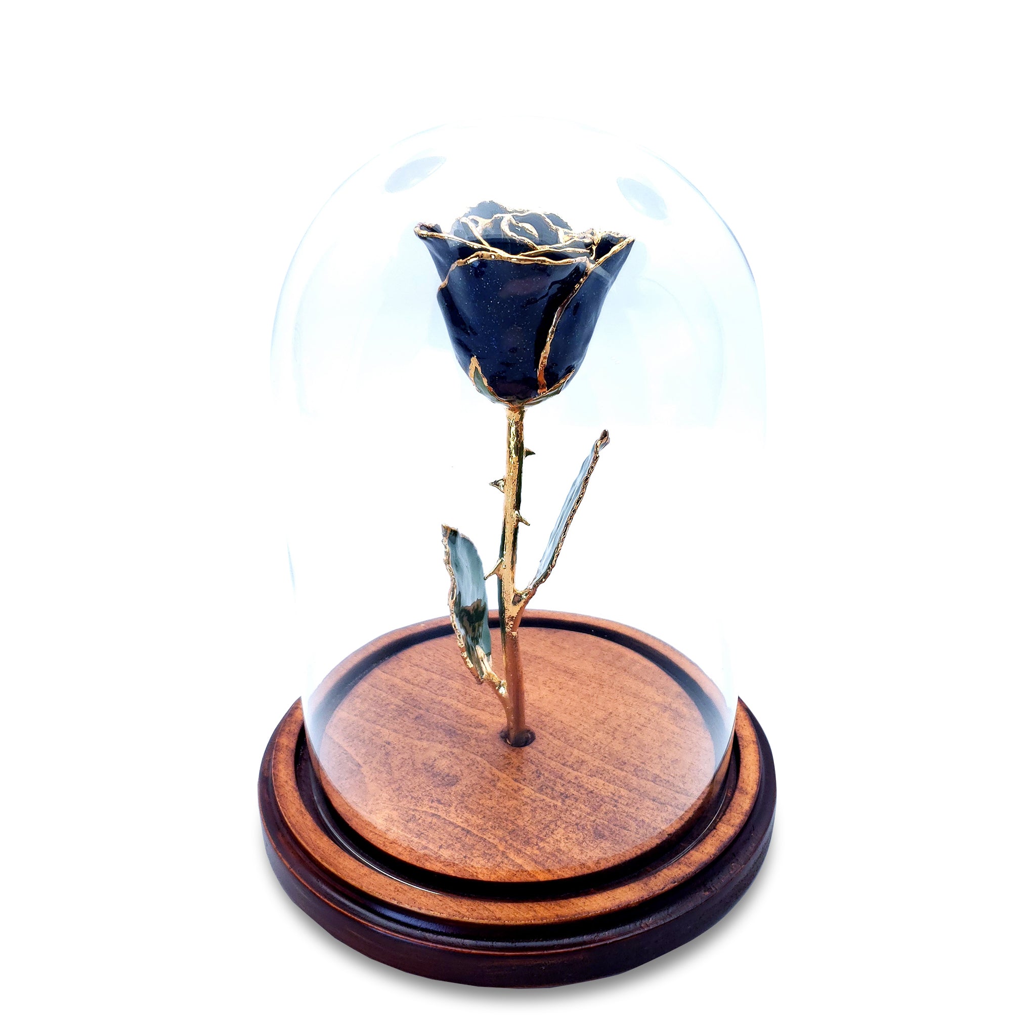 Custom Enchanted Rose w/ 24K Gold Trim Roses