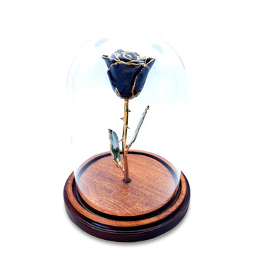 Custom Enchanted Rose w/ 24K Gold Trim Roses