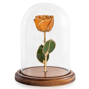 Custom Enchanted Rose - 24K Gold Topaz (November)