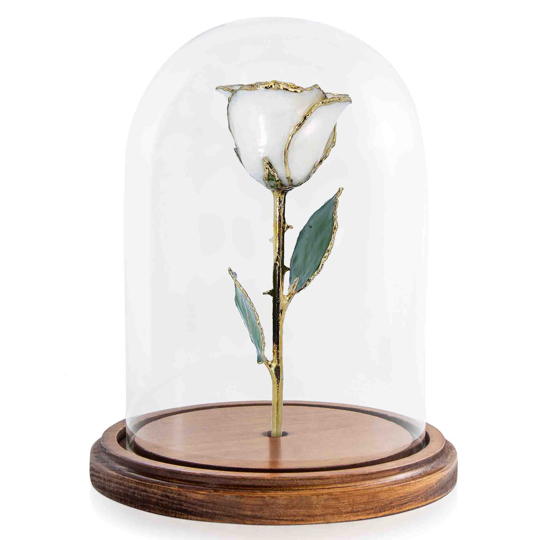 Custom Enchanted Rose - 24K Gold White Pearl (June Birthstone)