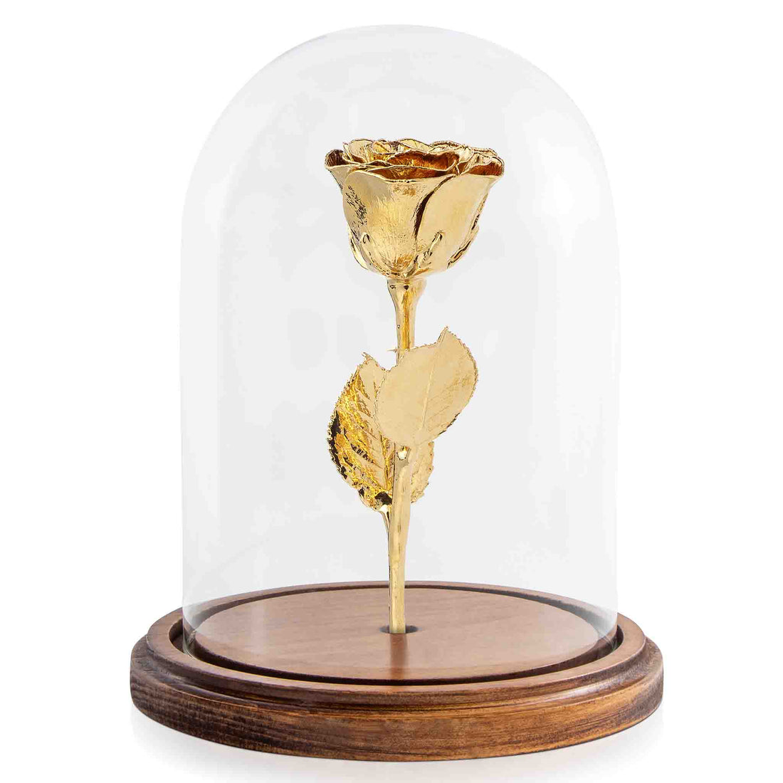 Custom Enchanted Rose w/ High Detail Gold Rose