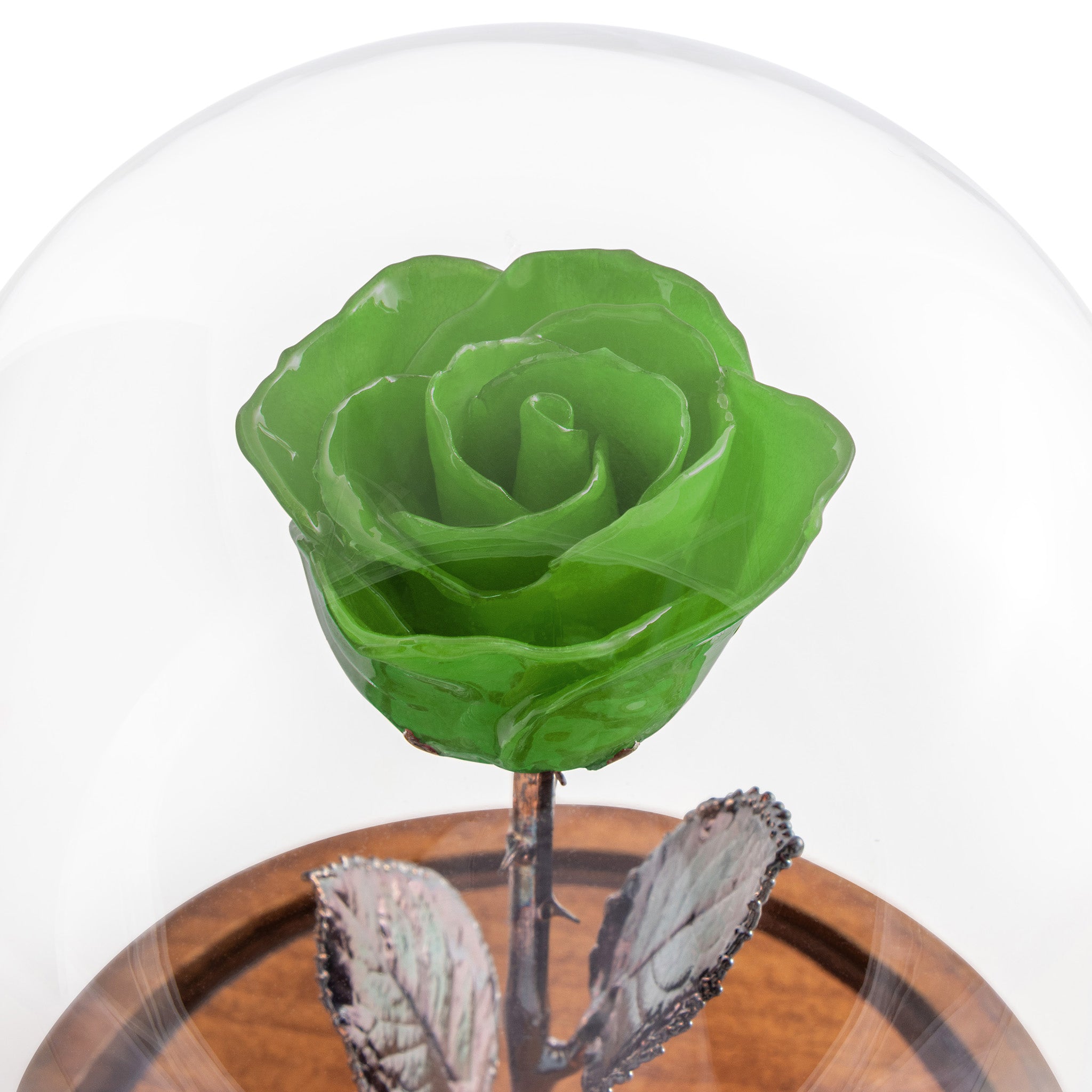 Green Enchanted Rose (aka Beauty & The Beast Rose) with Patina Copper Stem Mounted to A Hand Turned Solid Wood Base under a glass dome. Close up view.