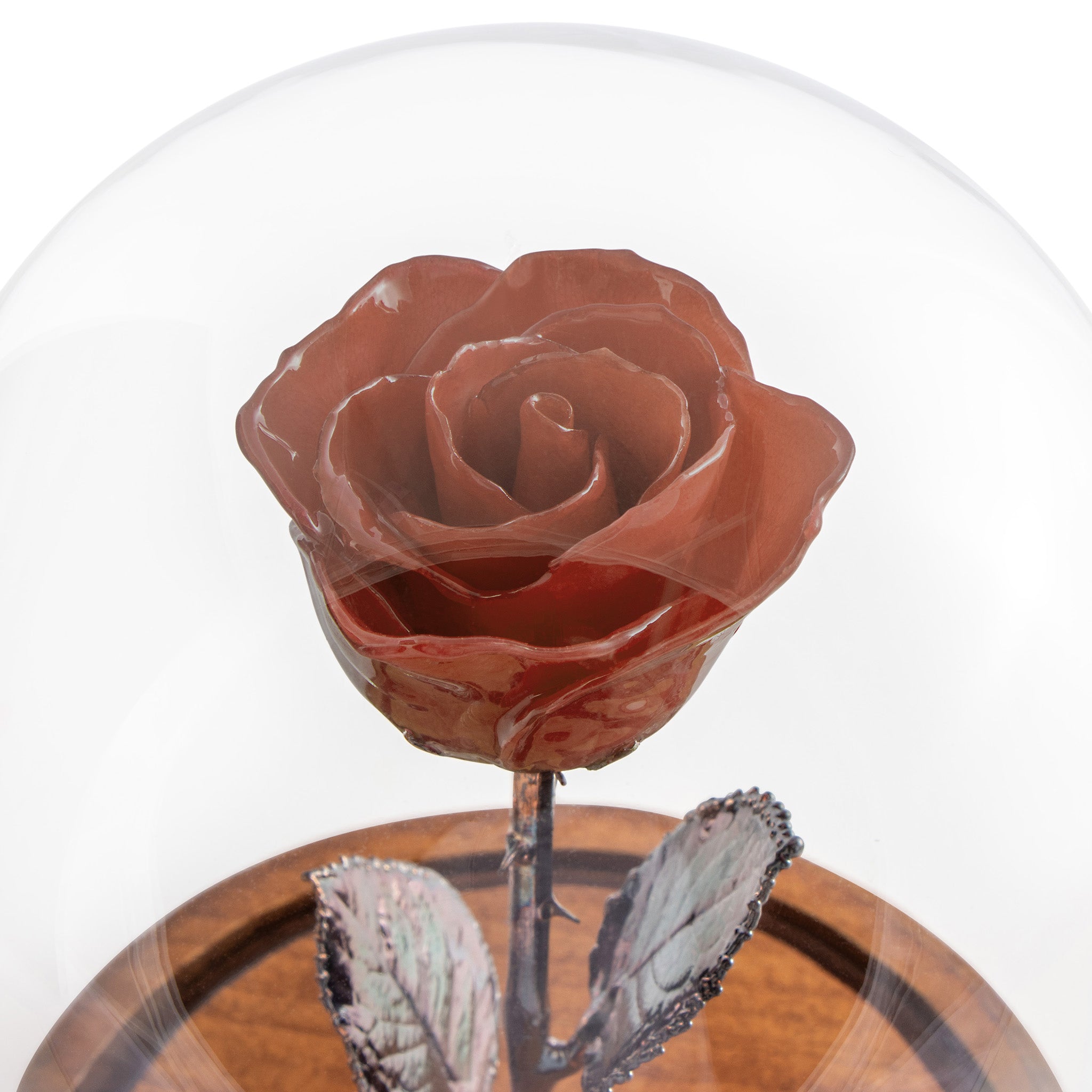 Pink Enchanted Rose (aka Beauty & The Beast Rose) with Patina Copper Stem Mounted to A Hand Turned Solid Wood Base under a glass dome.