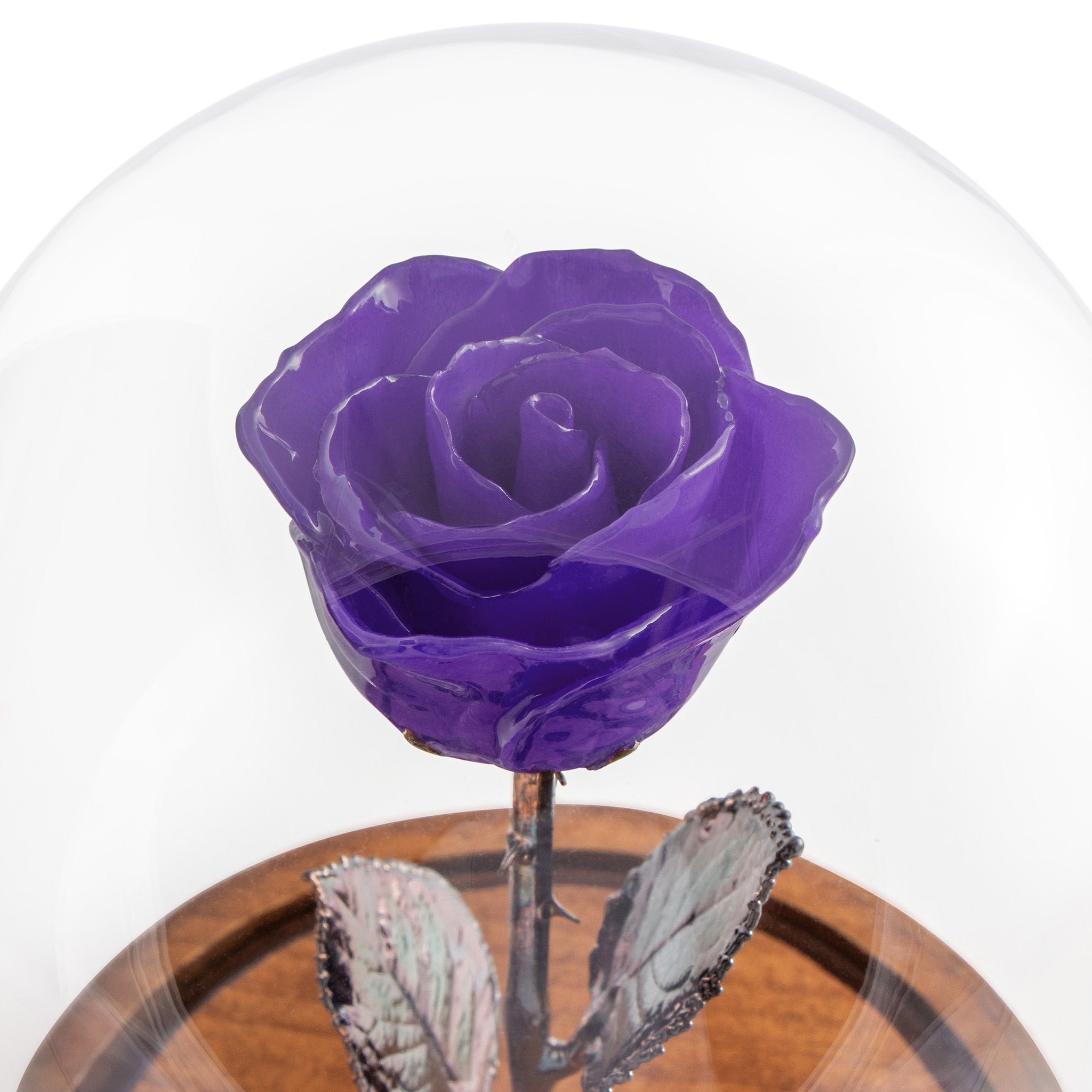 Purple Enchanted Rose (aka Beauty & The Beast Rose) with Patina Copper Stem Mounted to A Hand Turned Solid Wood Base under a glass dome. Zoomed in view of flower.