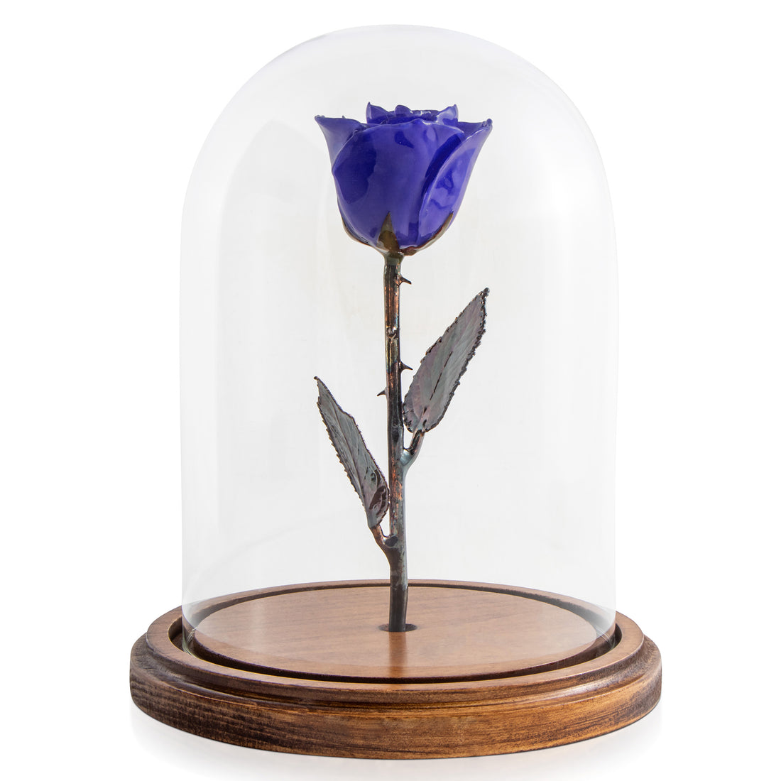 Enchanted Roses | Beauty and the Beast Rose for Sale - The Forever Rose Enchanted Roses | Beauty and the Beast Rose for Sale - The Forever Rose