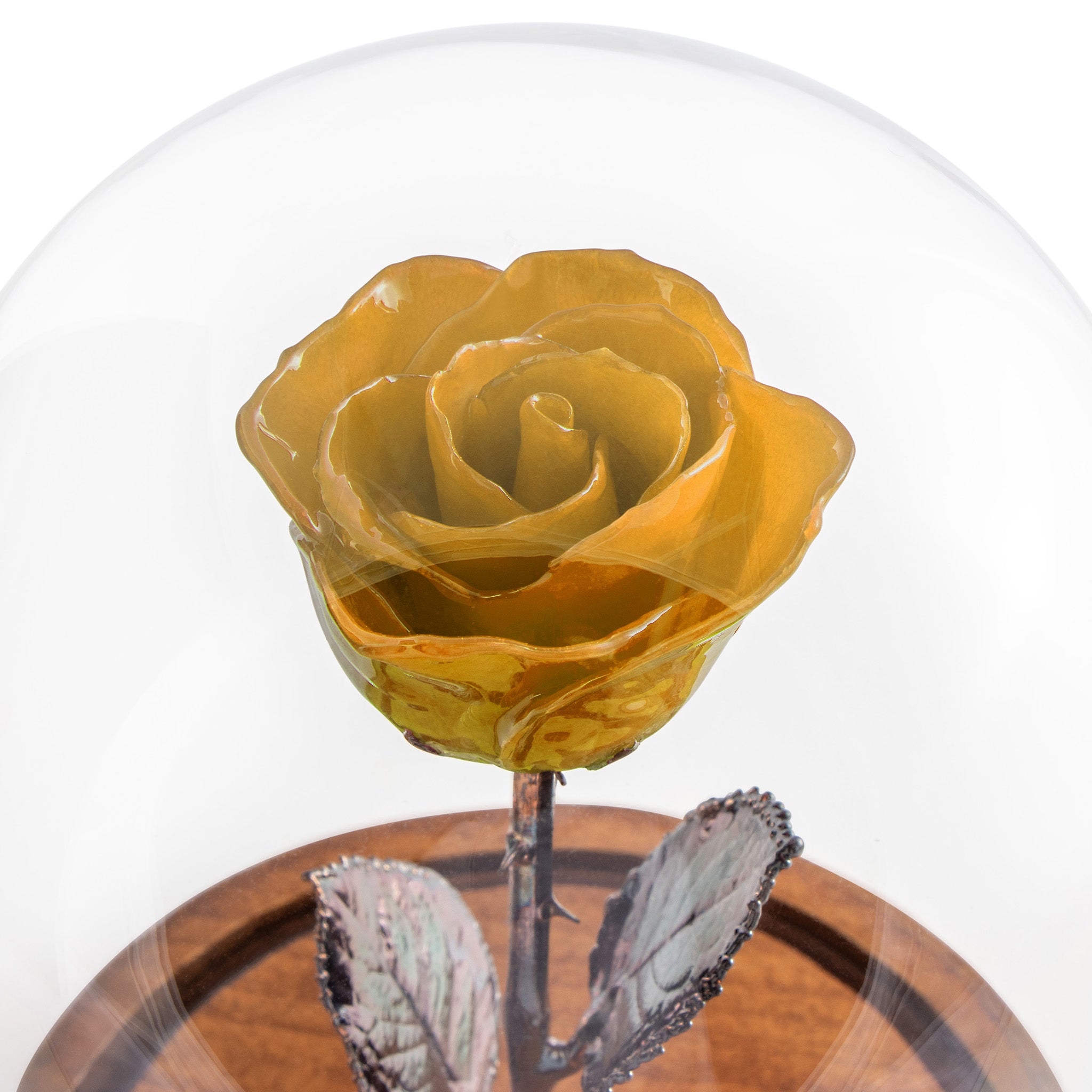 Yellow Enchanted Rose (aka Beauty & The Beast Rose) with Patina Copper Stem Mounted to A Hand Turned Solid Wood Base under a glass dome.