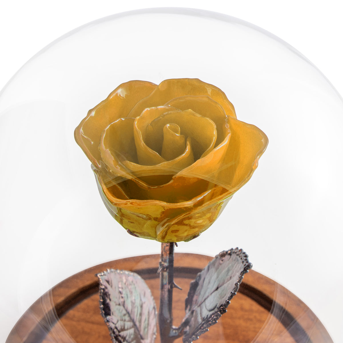 Yellow Enchanted Rose (aka Beauty &amp; The Beast Rose) with Patina Copper Stem Mounted to A Hand Turned Solid Wood Base under a glass dome.