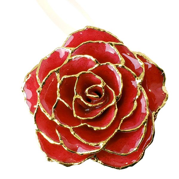 FRO-RED-SP-FIRST_grande.jpg?v=