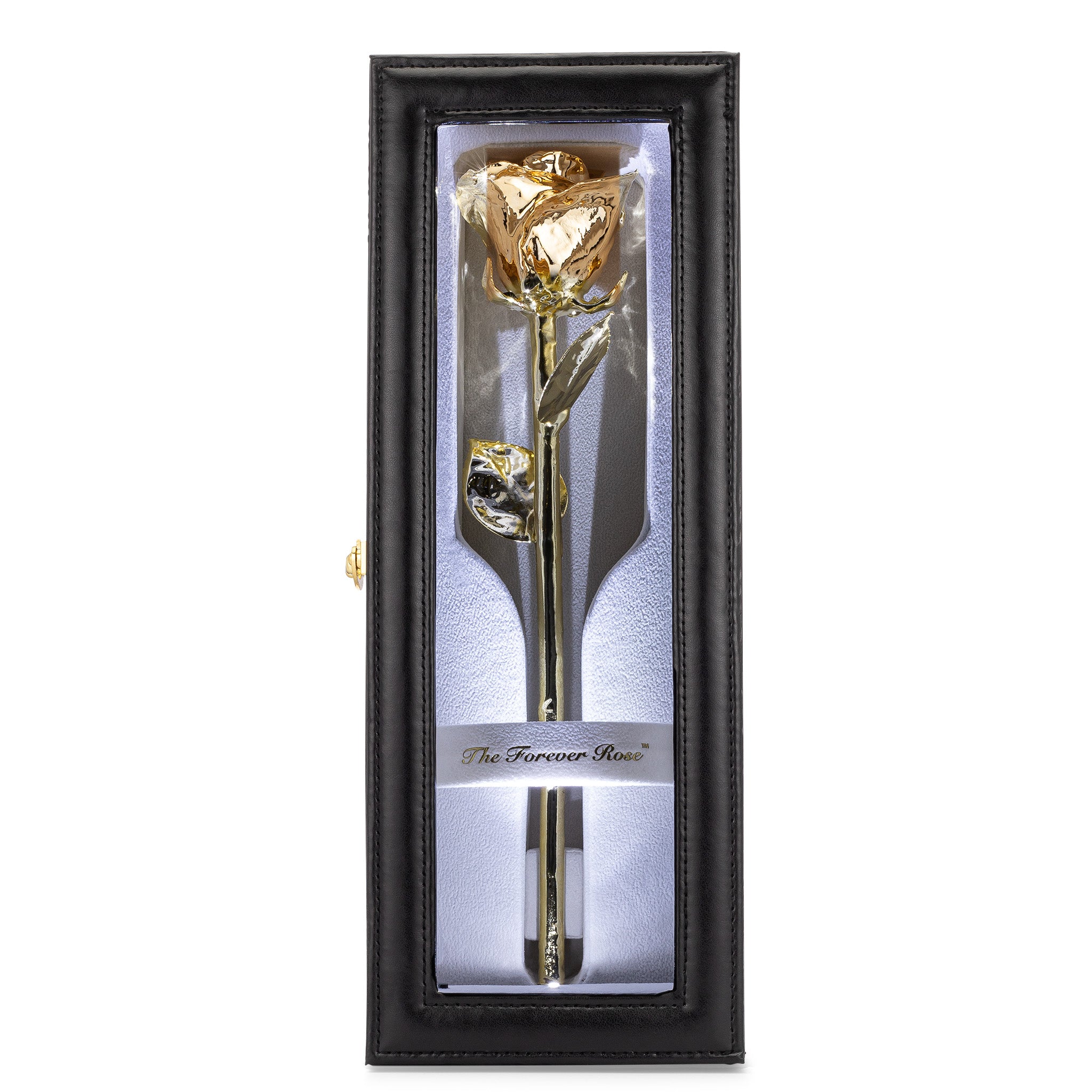 Leather Display Case with LED (1 Rose)