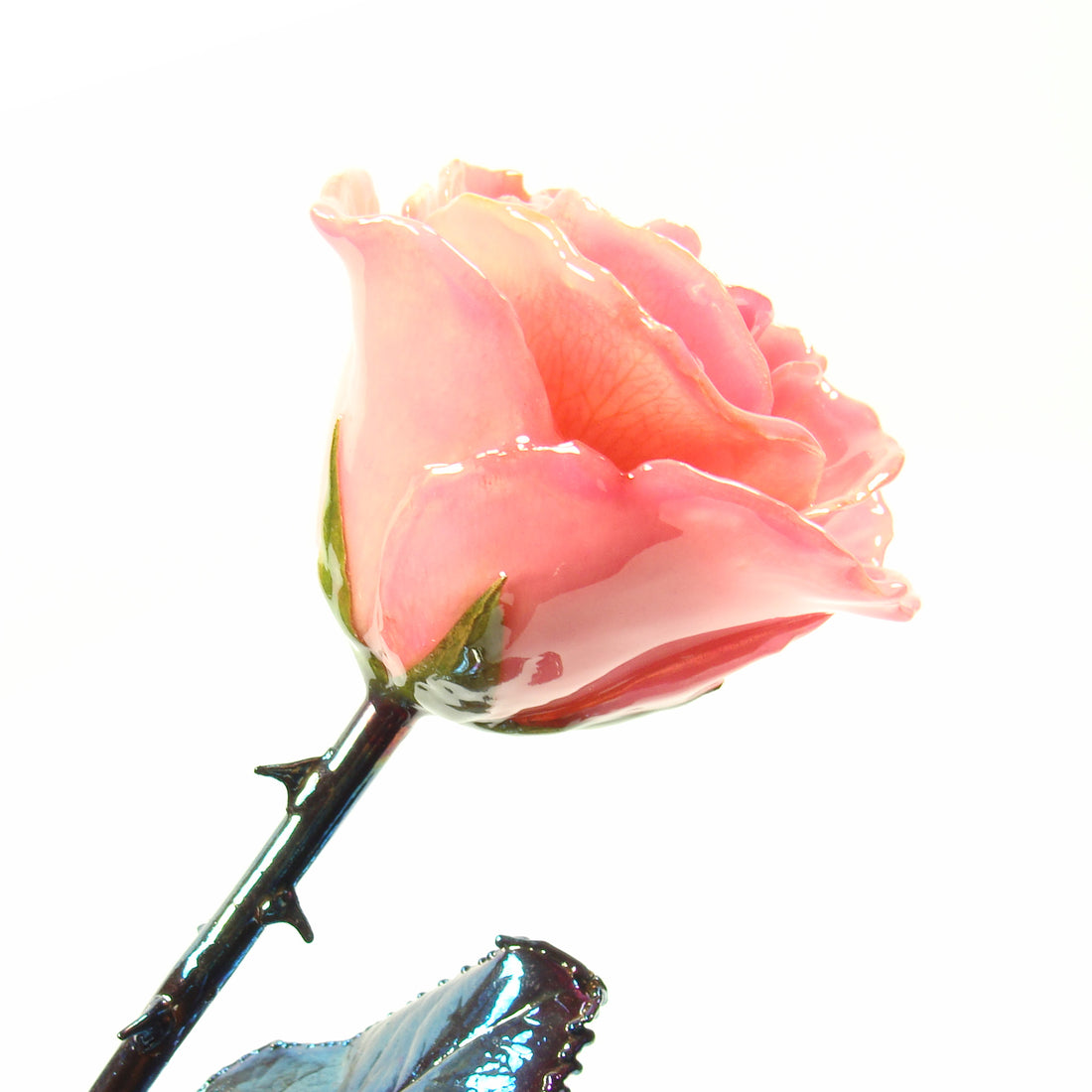 The Immortal Rose: Pink