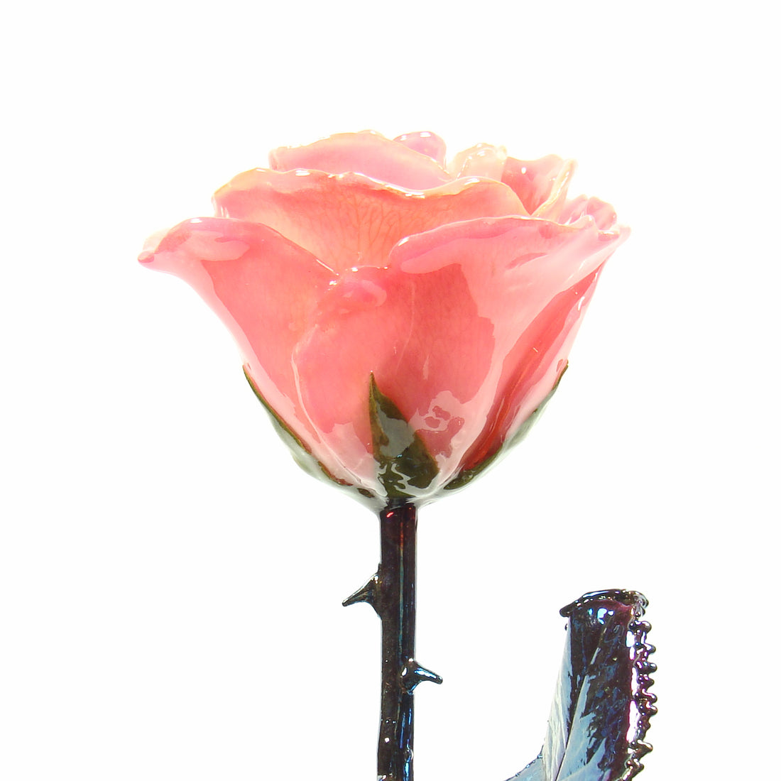 The Immortal Rose: Pink