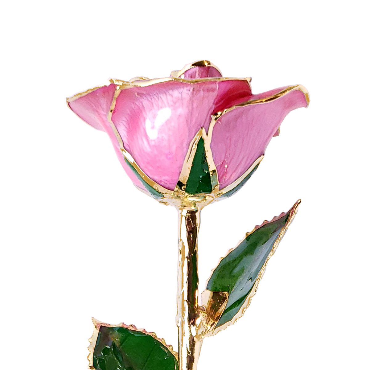 Custom Enchanted Rose - 24K Gold Forever Rose - Pink (OPEN BLOOM)