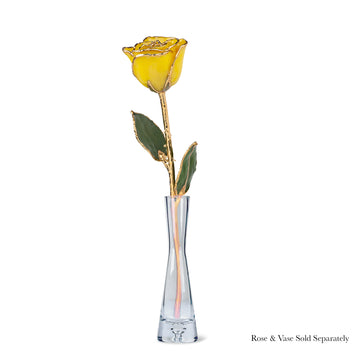 Forever Rose Hourglass Vase (For Trimmed Roses Only)