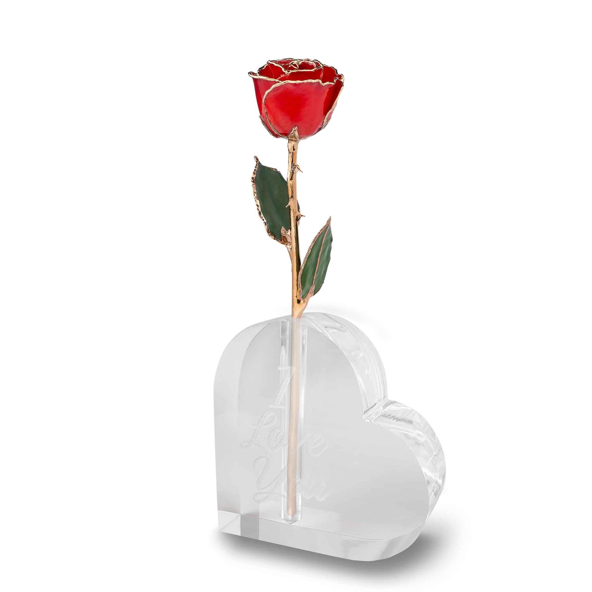 "I Love You" Heart Vase (1 Rose)