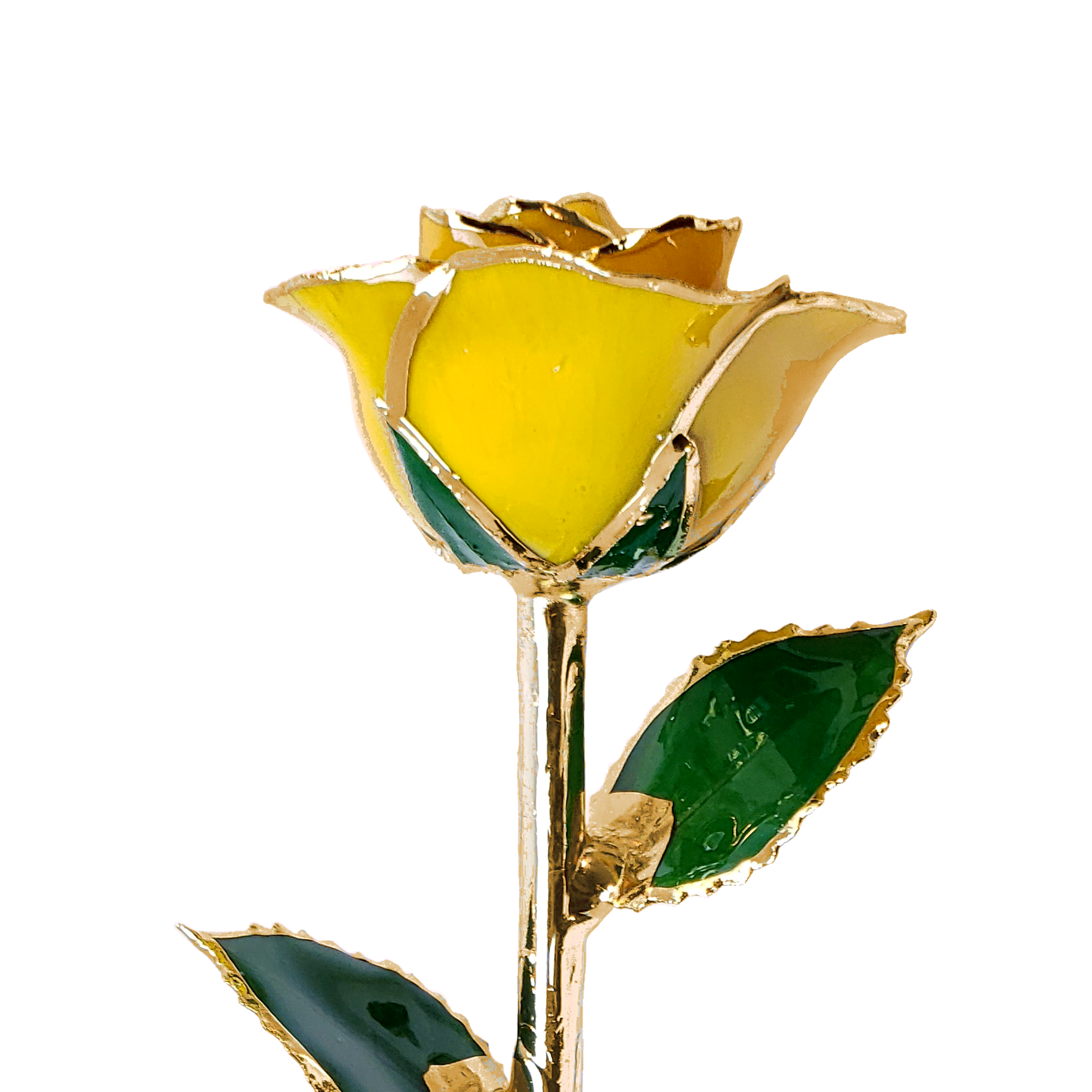 Custom Enchanted Rose - 24K Gold Forever Rose - Yellow (OPEN BLOOM)