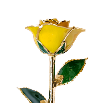 Custom Enchanted Rose - 24K Gold Forever Rose - Yellow (OPEN BLOOM)