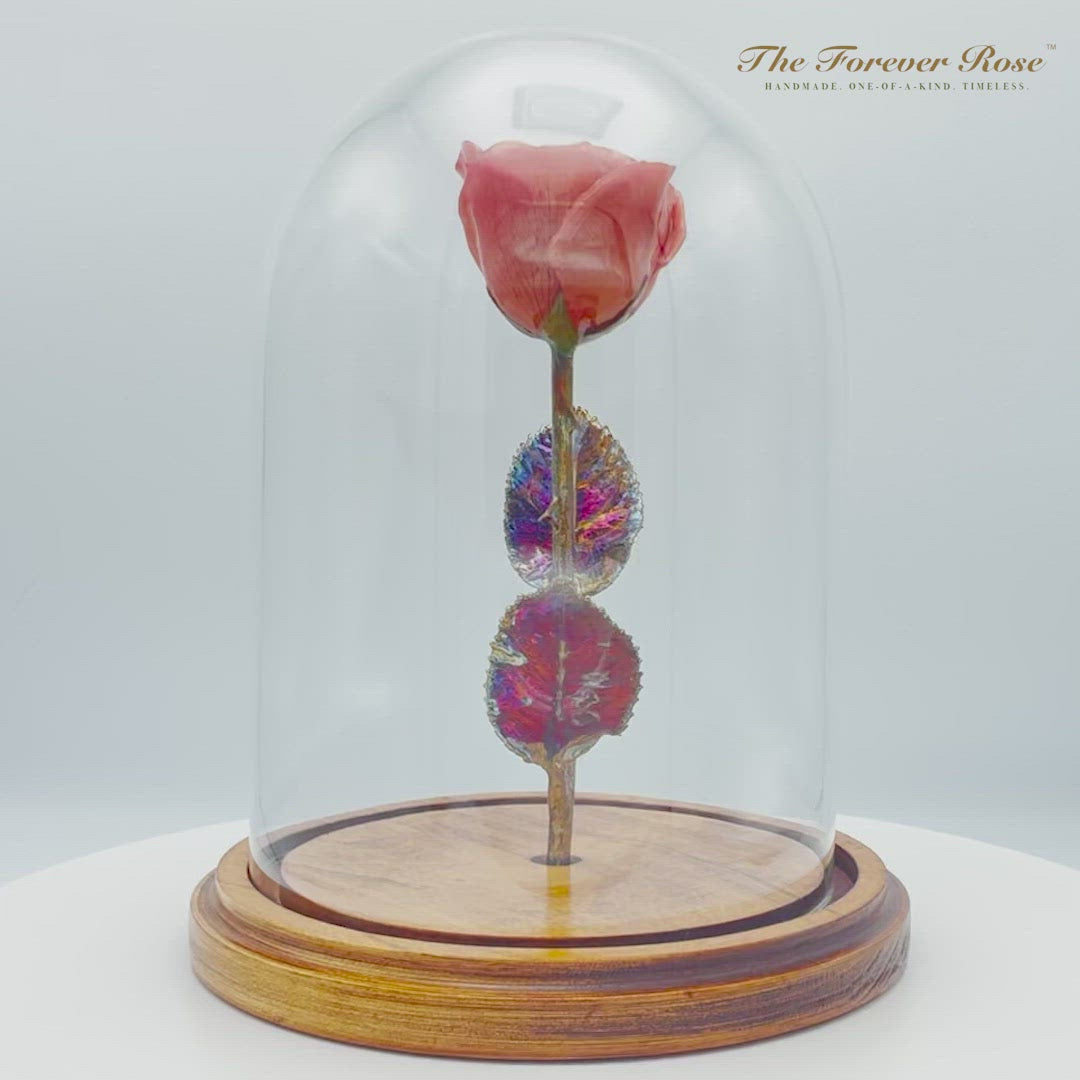 Enchanted Rose in Glass Dome - Pink
