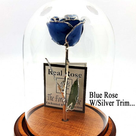 Custom Enchanted Rose w/ Silver Trim Roses - The Forever Rose