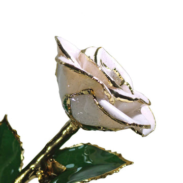 24K Gold Forever Rose - Frozen White Sparkle