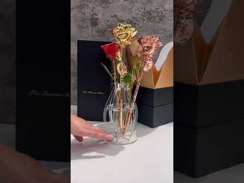 Forever Rose Bloom Box & Phantom Vase™ Combo (24K Gold)