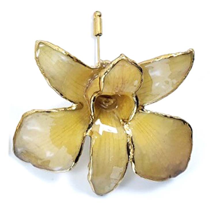 Real Dendrobium Golden Orchid Pins